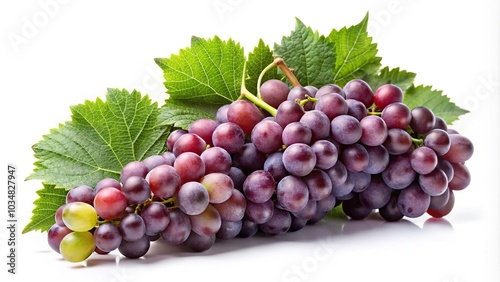 High angle view of graceful grapevine leaves against white background