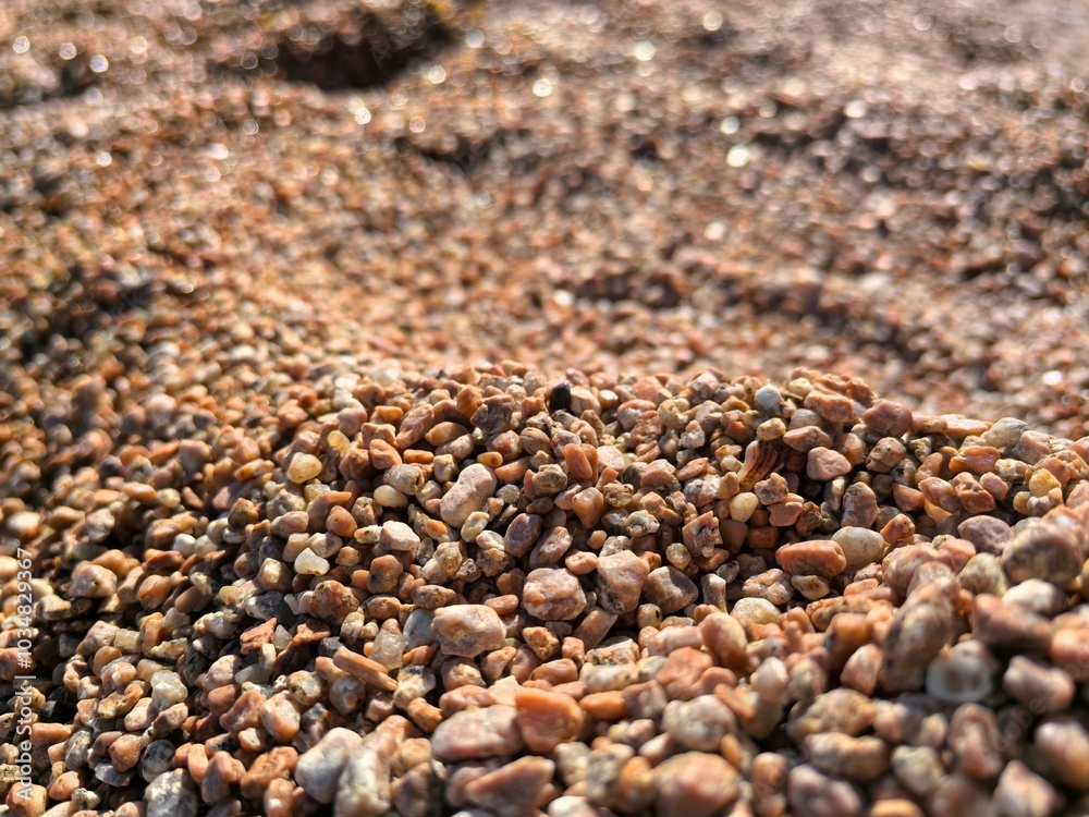Detailed Close-up of Beach Sand Texture, Highlighting Intricate Shapes, Rich Color Variations, Perfect for Graphic Design Projects and Artistic Creations. Detailed Close-up of Beach Sand Texture, Highlighting Intricate Shapes, Rich Color Variations, Perfect for Graphic Design Projects and Artistic Creations.