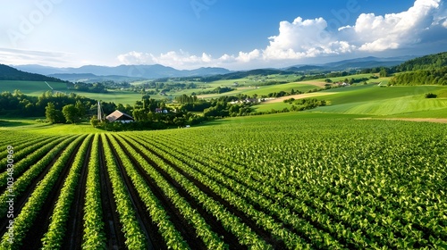 Aerial perspective showcasing the organized and efficient layout of a rural landscape with well defined rows of crops intricate irrigation systems and a scenic natural backdrop