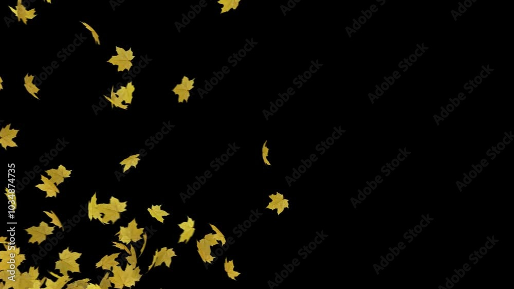 Maple Leaves Transition on Ground. 3D rendering. background of maple leaves noise wind completely clearing the frame on a transparent alpha channel.
Maple Leaves Transition on Ground. 3D rendering. background of maple leaves noise wind completely clearing the frame on a transparent alpha channel.