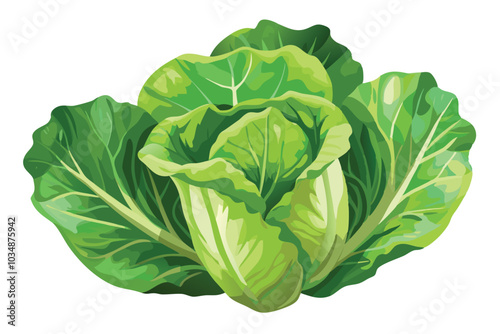 High-Quality Watercolor Digital Painting of Fresh Lettuce, Isolated on White Background