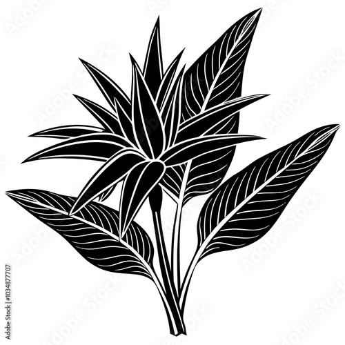 Bird-of-paradise silhouette 
 vector art 

