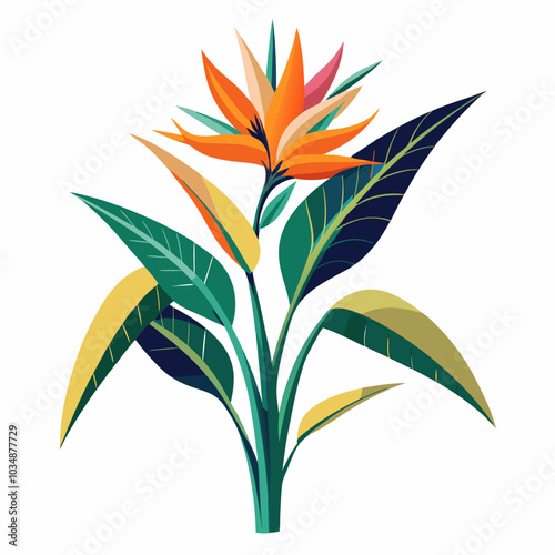 Bird-of-paradise vector art 
