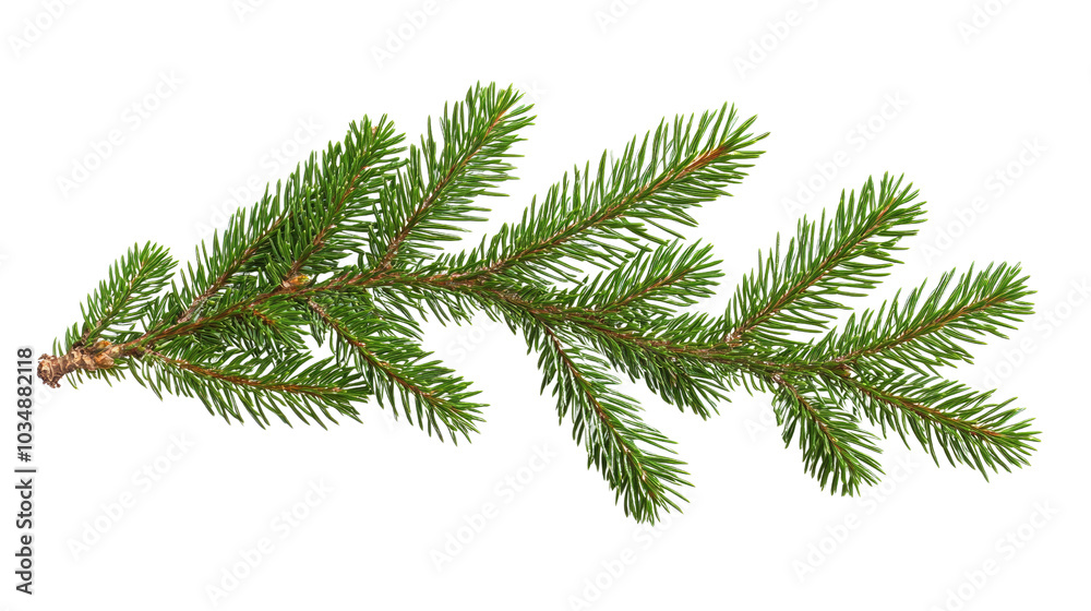A decorated Christmas tree branch with ornaments and snow, showcasing the beauty of winter and the festive holiday spirit A decorated Christmas tree branch with ornaments and snow, showcasing the beauty of winter and the festive holiday spirit