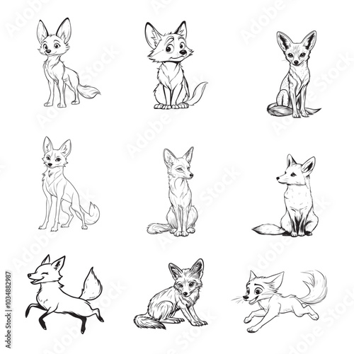 Collection of jackal Outline Design - jackal Vector illustration in black and white
