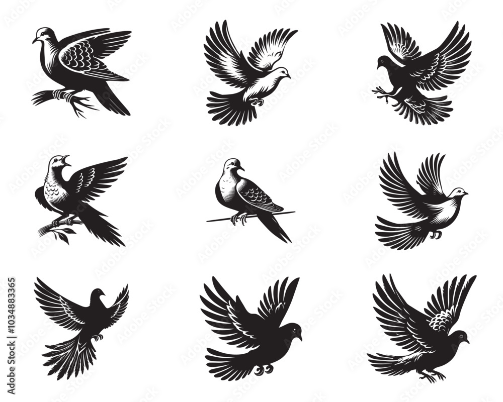 Collection of Mourning Dove Vector illustration - Mourning Dove Bird Clipart Design Collection of Mourning Dove Vector illustration - Mourning Dove Bird Clipart Design