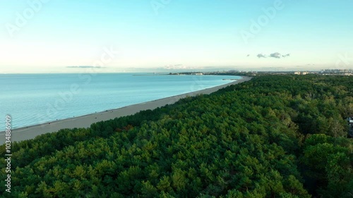 Wallpaper Mural Aerial view of a long sandy coastline bordered by dense forest, stretching toward the horizon Torontodigital.ca