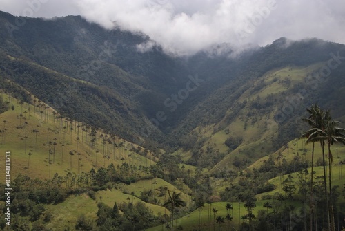 Obraz na płótnie Vista de el Valle de Cocora y sus palmas de cera w salonie