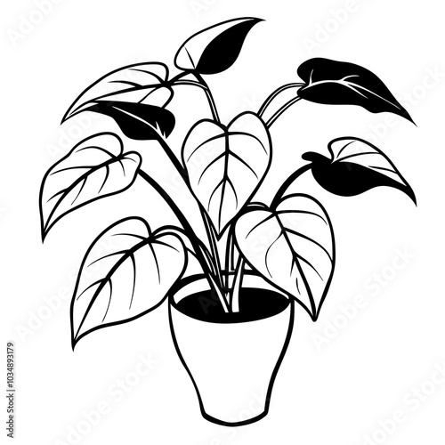 Pothos line art
 vector illustration on a white background