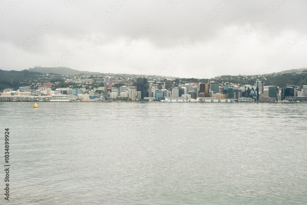 Naklejka premium Wellington Skyline and Waterfront on a Cloudy Day - Urban and Coastal View