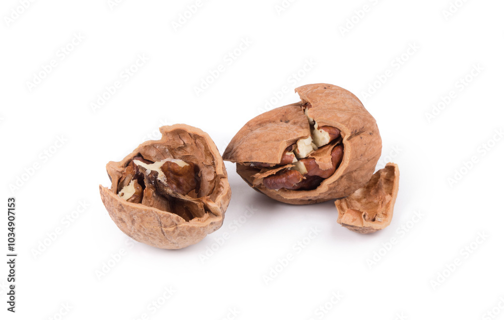 Cracked walnut. Cracked walnut.
