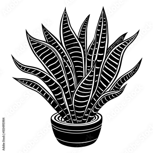 Snake plant silhouette 
 vector illustration on a white background
