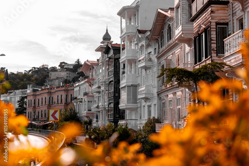 Historical streets of Arnav...