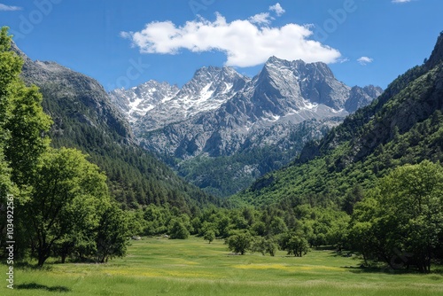 Prado verde con árboles y de fondo montaña con nieve. Naturaleza.