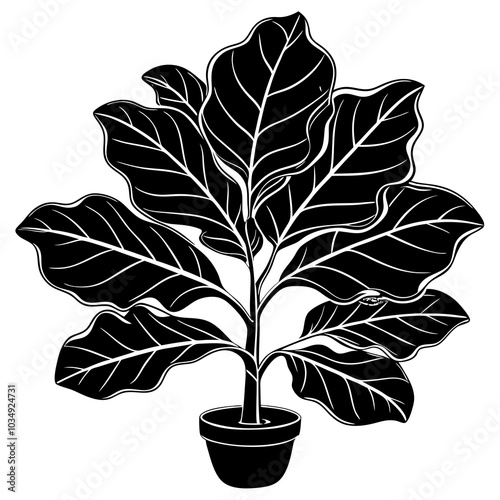 Fiddle-leaf fig Small plant silhouette 
