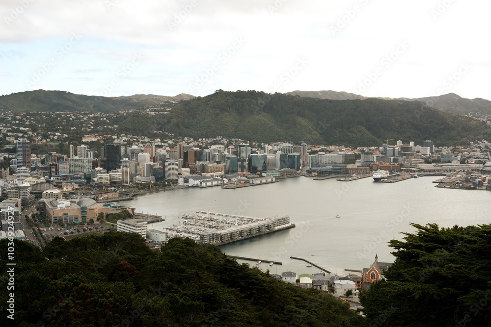 Wellington Skyline and Waterfront on a Cloudy Day - Urban and Coastal View Wellington Skyline and Waterfront on a Cloudy Day - Urban and Coastal View