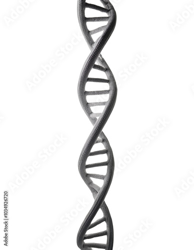 DNA double helix structure, isolated on white background.