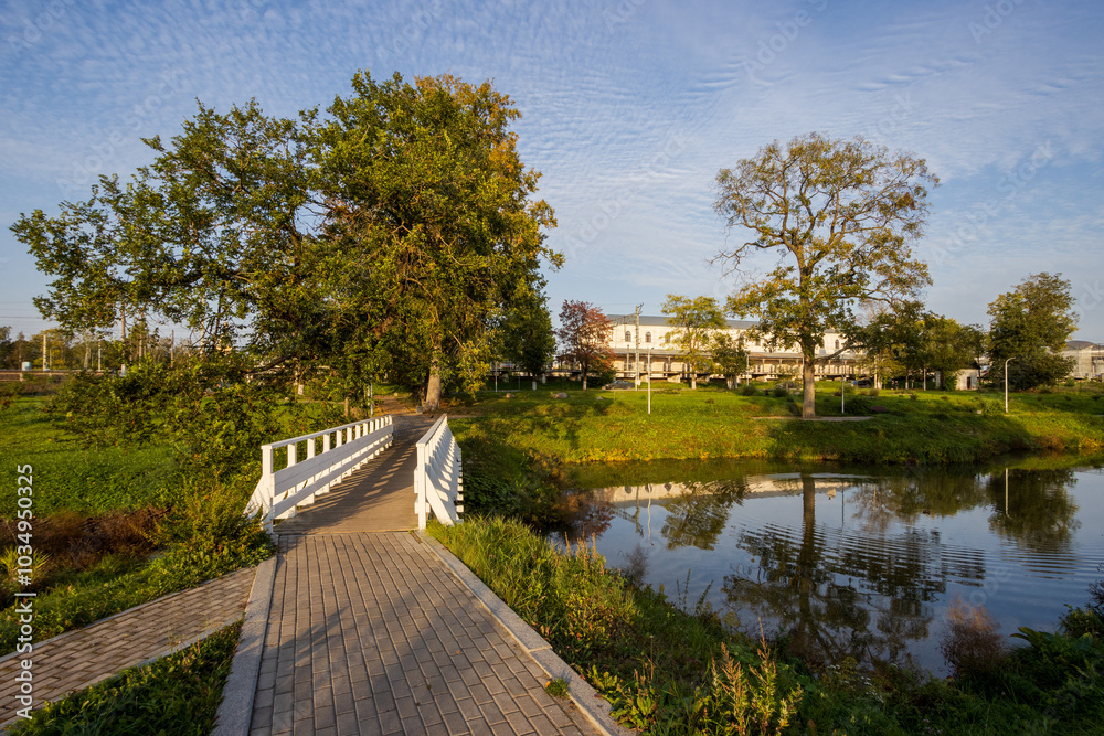 Fototapeta premium Park of the 500th Anniversary of Lyuban, Lyuban town (Luban), Leningrad region, Russia. View of pedestrian paths and a bridge near the pond in the city park. Beautiful autumn landscape.