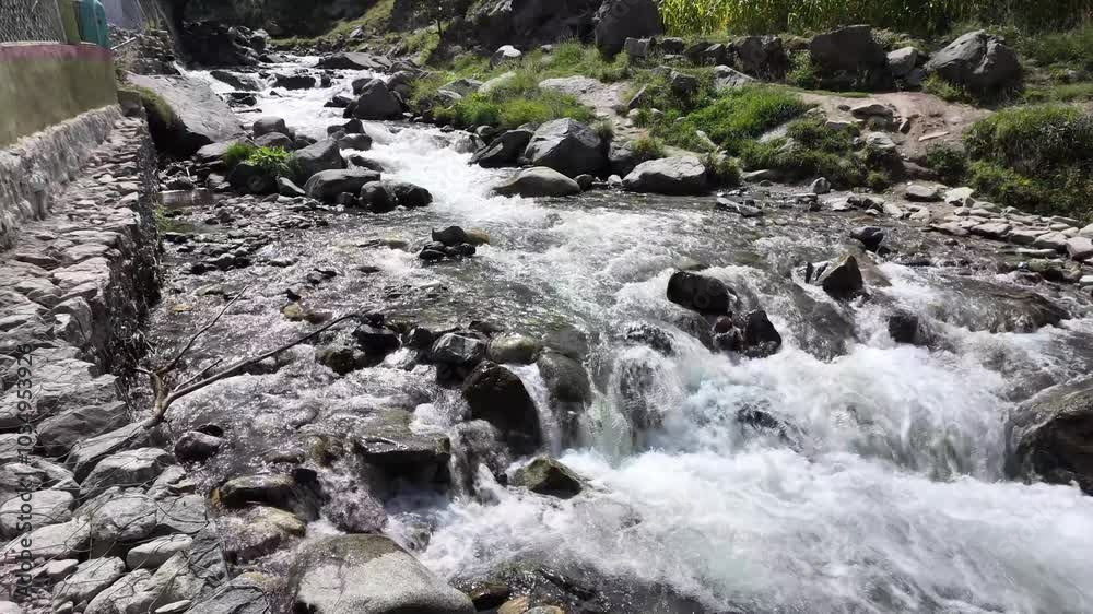A Fast-Flowing Crystal Clear River Between Rocky Shores and Stones, Adjacent to Lush Cornfields, Closeup View A Fast-Flowing Crystal Clear River Between Rocky Shores and Stones, Adjacent to Lush Cornfields, Closeup View