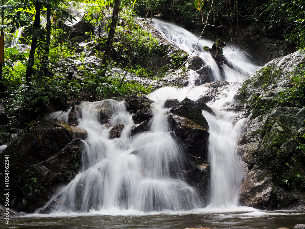 Fototapeta premium waterfall