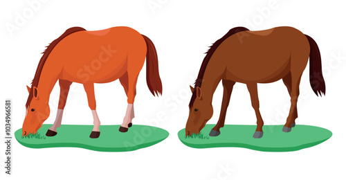 Two horses in a meadow with grass. Vector illustration.