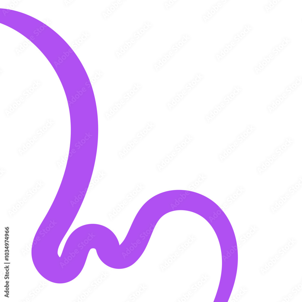 Purple Line Border Purple Line Border