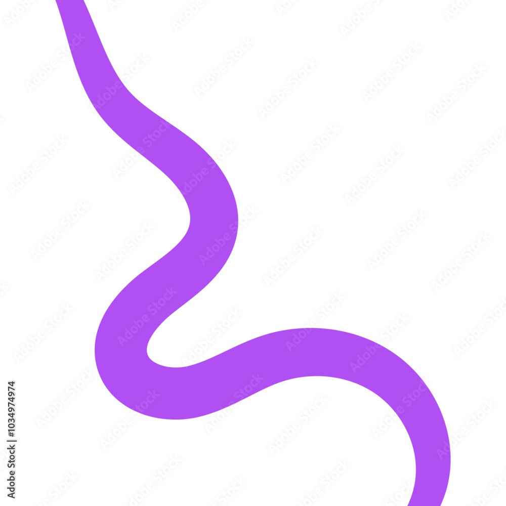 Purple Line Border Purple Line Border