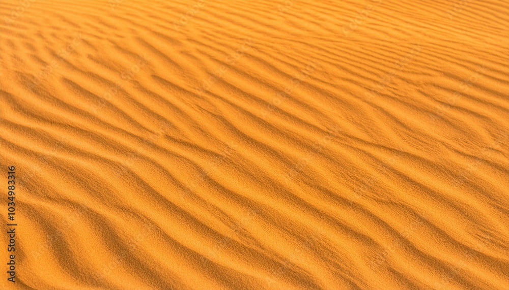 Sand ripples in the desert Sand ripples in the desert