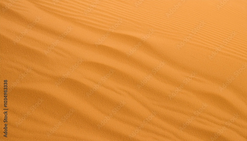 Sand ripples in the desert Sand ripples in the desert