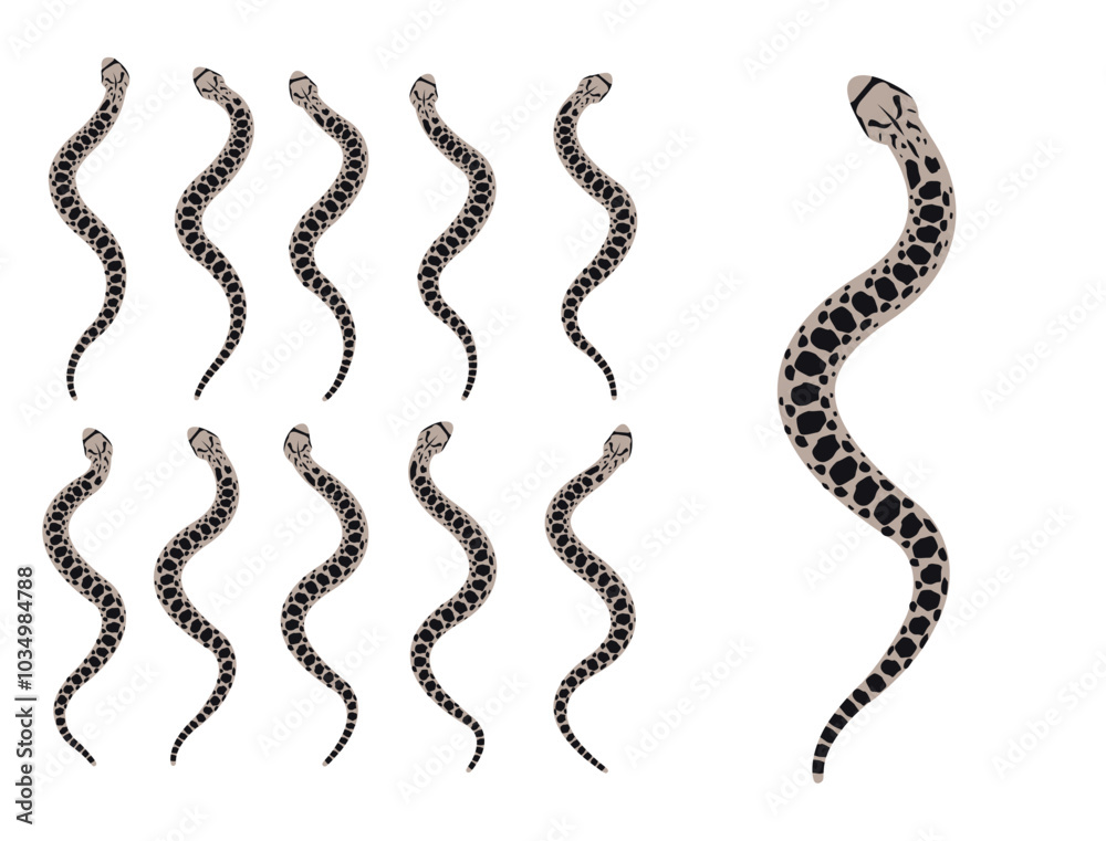 Fototapeta premium Bullsnake Snake Animal Animation Sequence Cartoon Vector