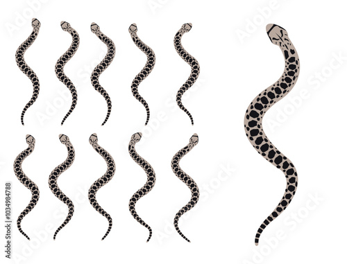 Bullsnake Snake Animal Animation Sequence Cartoon Vector