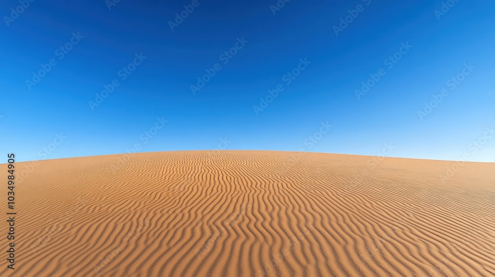 A vast, golden desert landscape under a clear blue sky A vast, golden desert landscape under a clear blue sky
