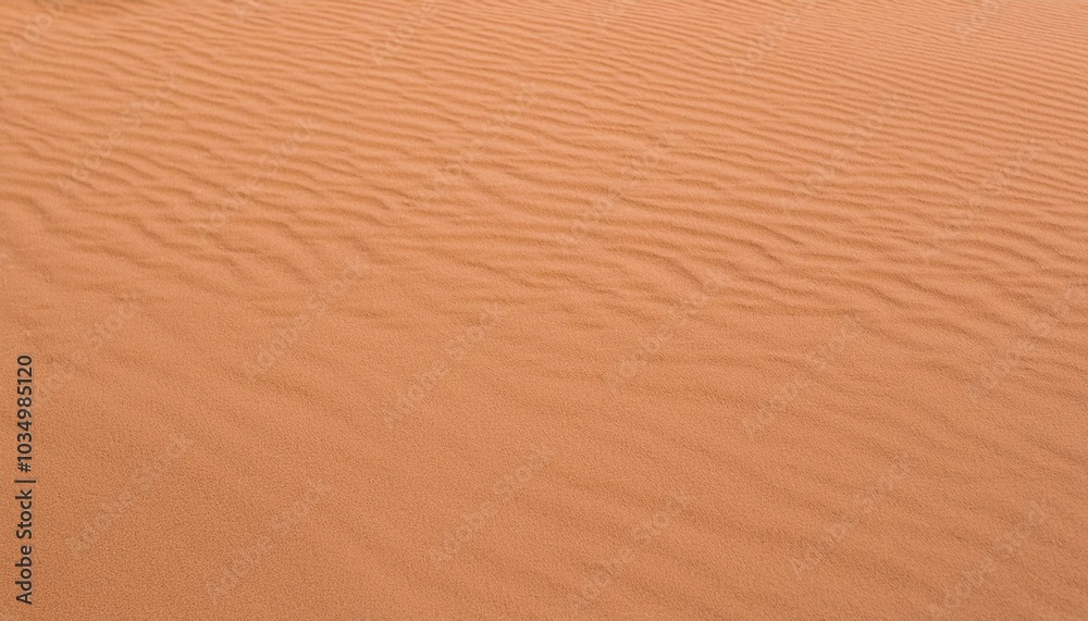 Sand ripples in the desert Sand ripples in the desert