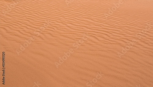 Sand ripples in the desert