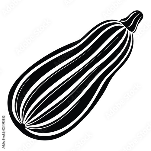 zucchini silhouette vector design illustration on white background eps10, Illustration of Squash vegetable marrow zucchini