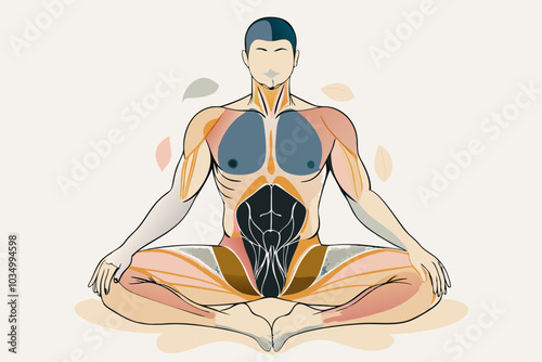 Meditating Man Illustration with Visible Anatomy for Holistic Health Concept