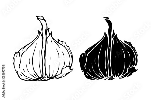 Set of linear sketches, silhouettes, stamps of garlic roots. Vector graphics.