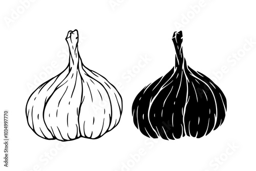 Set of linear sketches, silhouettes, stamps of garlic roots. Vector graphics.