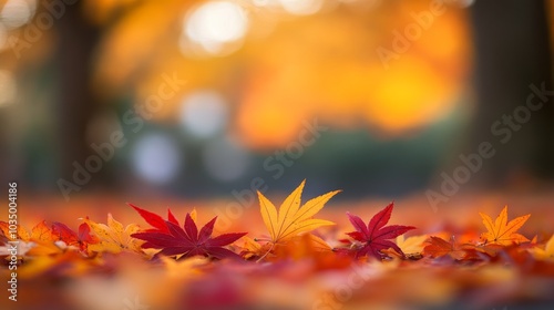 Brightly colored autumn leaves in shades of red and orange create a beautiful carpet on the ground, capturing the essence of fall and nature's transformation.