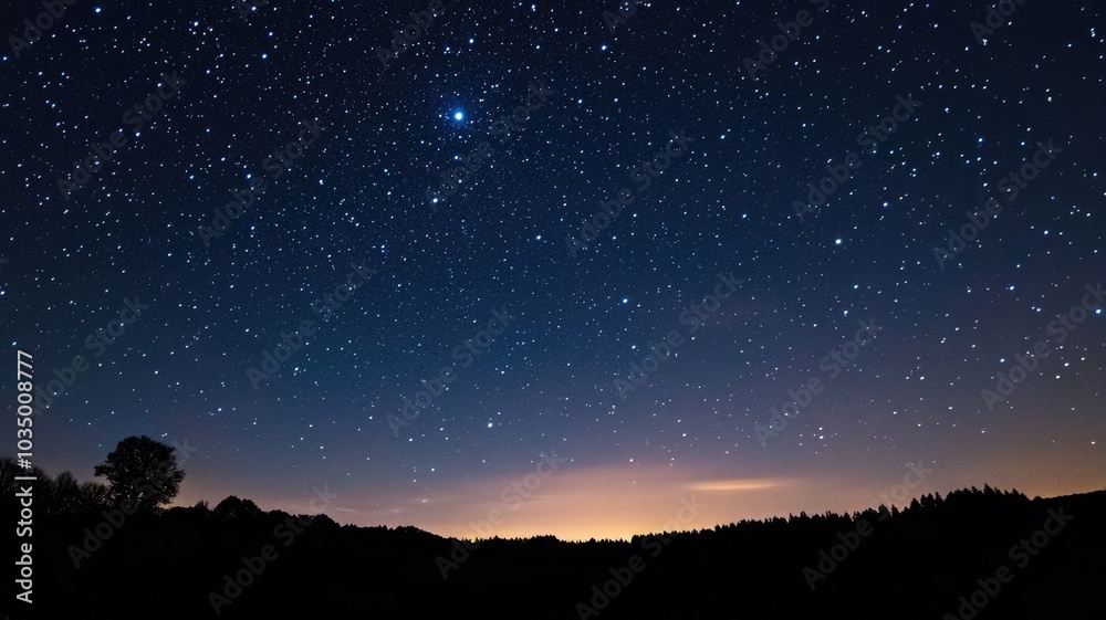 Fototapeta premium Starry night sky with trees silhouetted against horizon