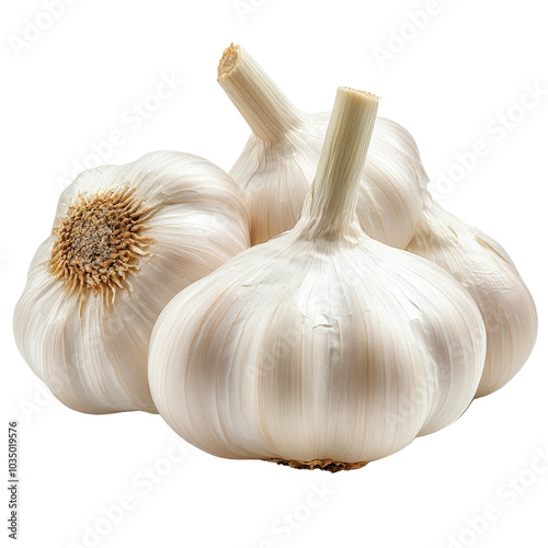 Raw garlic cloves isolated on white background, a healthy ingredient for cooking photo