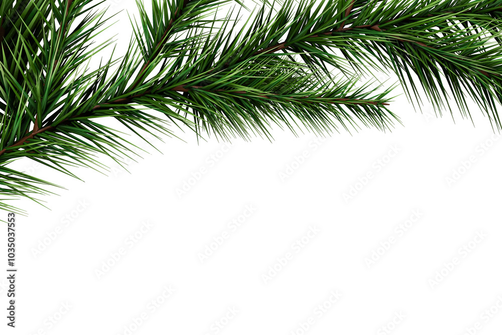 christmas tree branches christmas tree branches