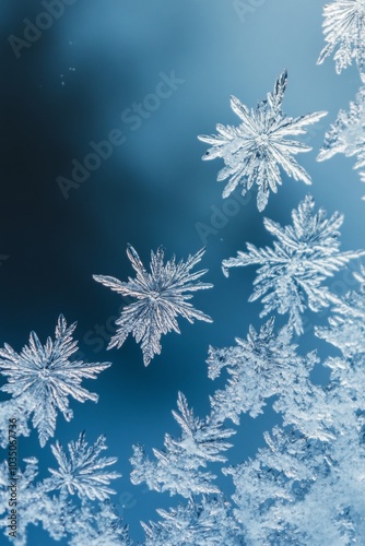 Intricate snowflakes captured delicately against a soft blue background during winter's chill. With copy space for text.