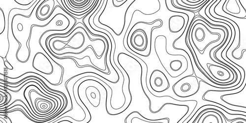 Abstract black and white wavy topography relief map background landscape geodesy topographic map lines background, topographic contour map vector illustration with black lines geography background.
