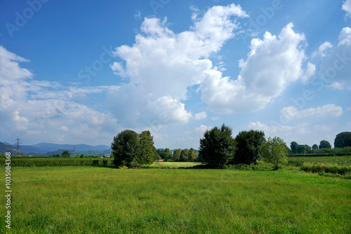 Fototapeta Naklejka Na Ścianę i Meble -  paesaggio