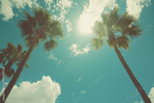 Los Angeles Palm Trees under Sunny California Sky. Vintage Beverly Hills Avenue Shot