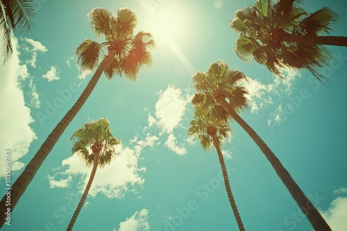 Los Angeles Palm Trees: Vintage View of Sunny Sky on Avenue in California
