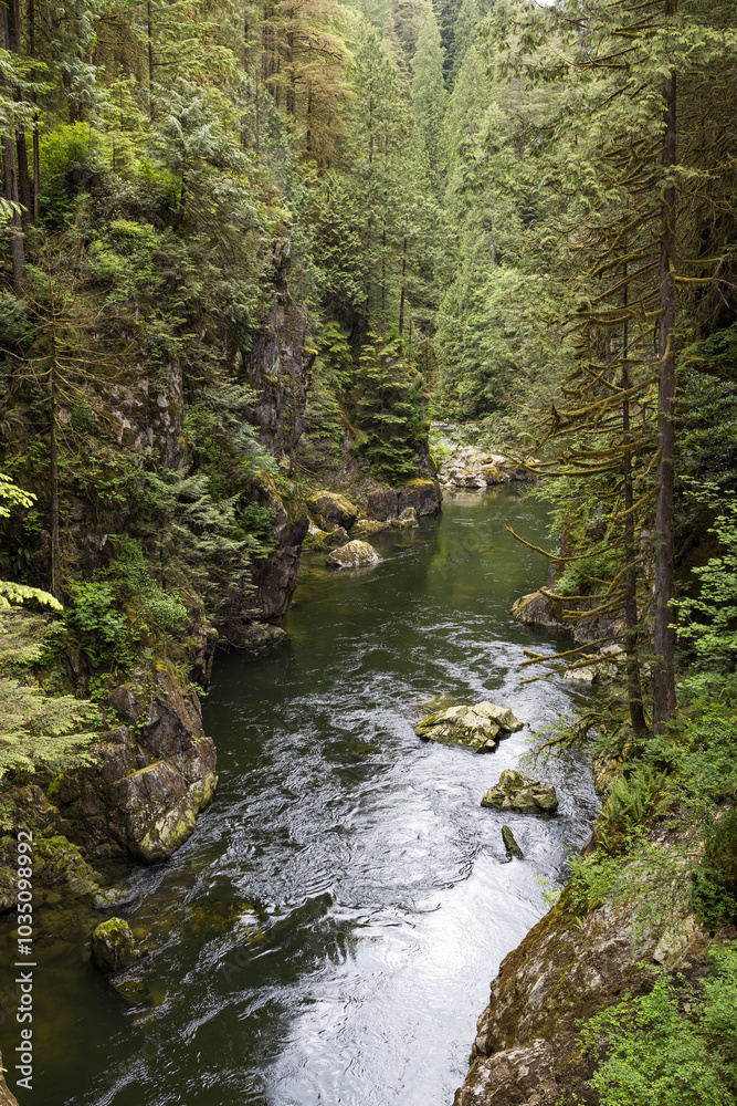 A scenic view of the Capilano River flowing through the lush forested canyon near Cleveland Dam in North Vancouver A scenic view of the Capilano River flowing through the lush forested canyon near Cleveland Dam in North Vancouver