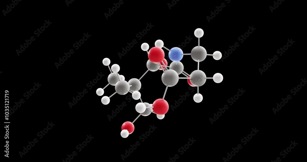Pantothenic acid molecule, rotating 3D model of vitamin b5, looped video on a black background Pantothenic acid molecule, rotating 3D model of vitamin b5, looped video on a black background