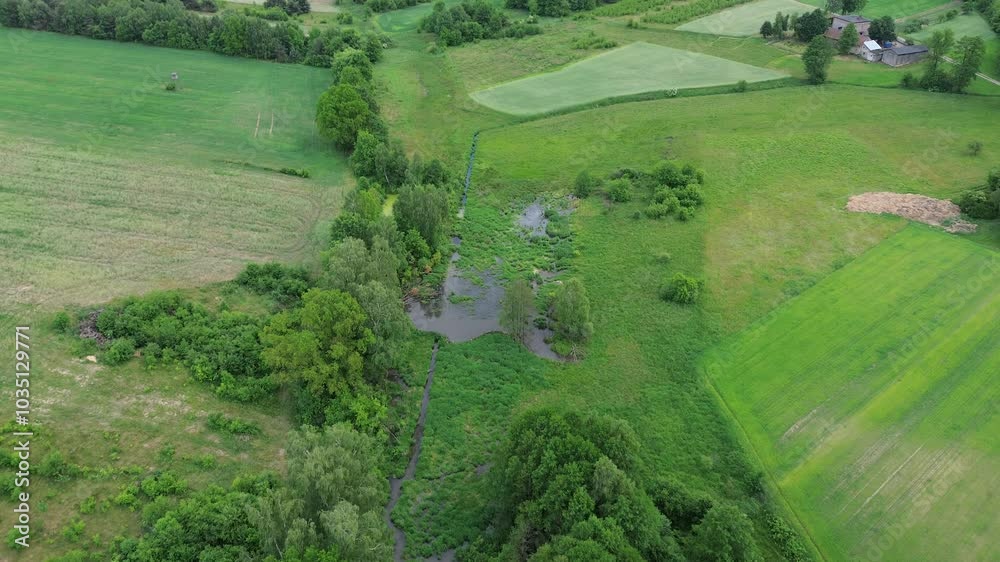 aerial view of pond near trees aerial view of pond near trees